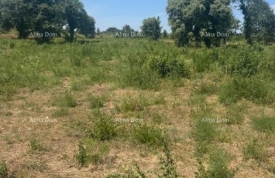 Land of 4000 m² in Ližnjan, T2 zone