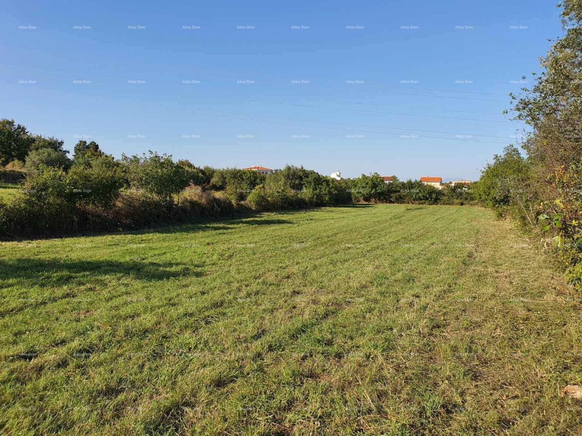 Эемля Marčana 1