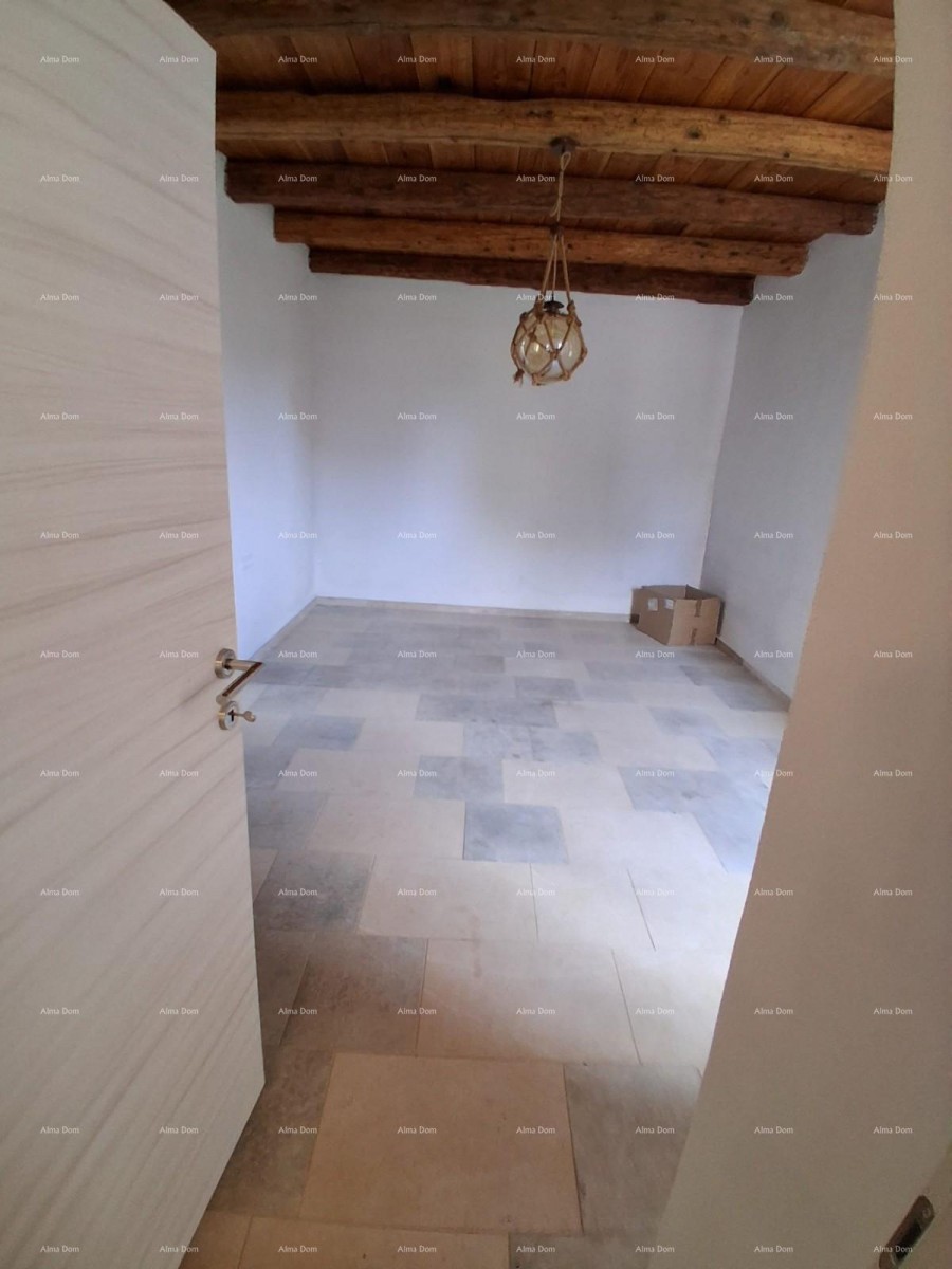 Продажа - роскошный дом на большом участке с бассейном, спа-салоном и тренажерным залом, Пореч! 18