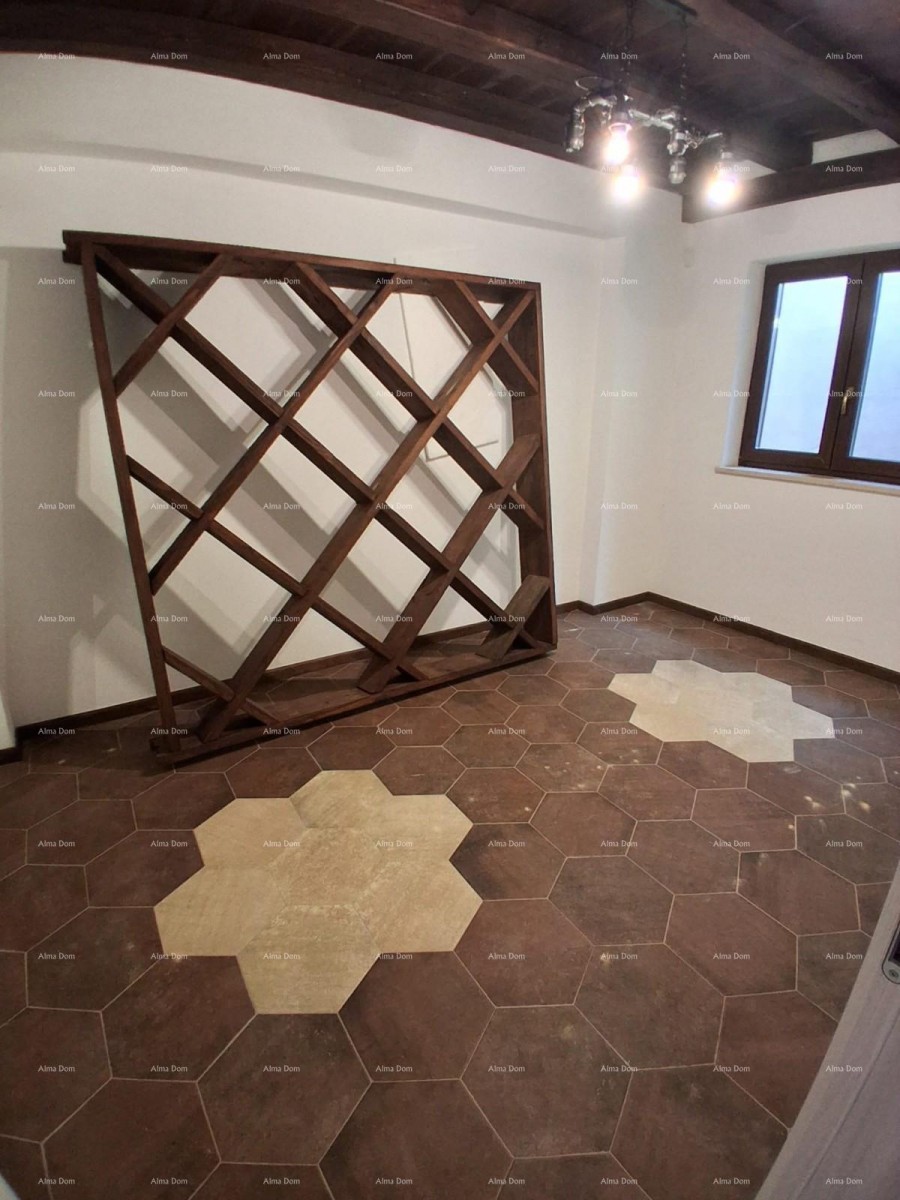 Продажа - роскошный дом на большом участке с бассейном, спа-салоном и тренажерным залом, Пореч! 12