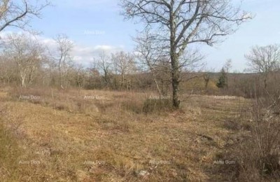 Prodaja građevinskog zemljišta u blizini Grožnjana.