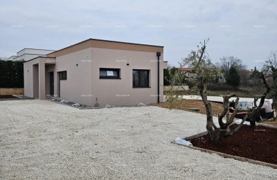 Casa unifamiliare di alta qualità con piscina e giardino in vendita, Sanvincenti
