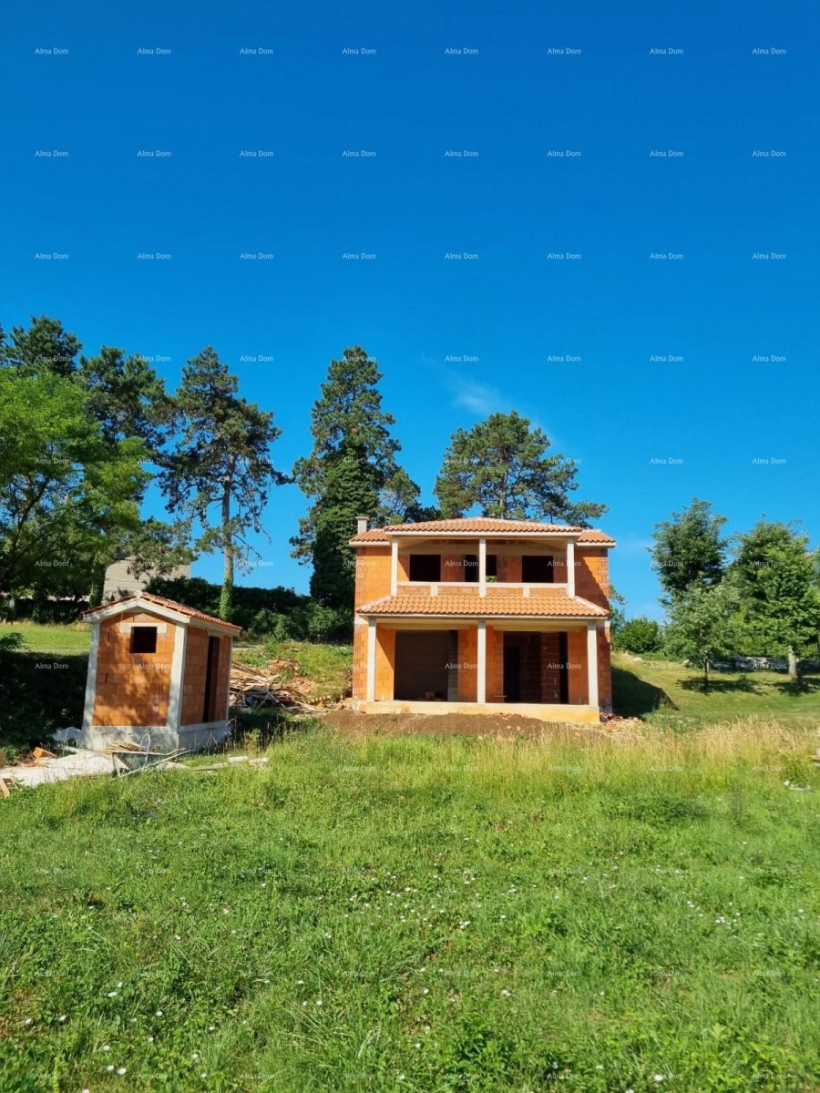 House Pazin 11