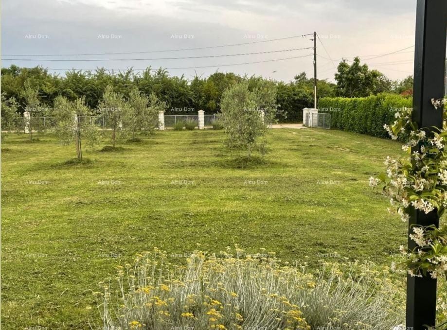 Radeki Glavica, Loborika – Kuća s građevinskim zemljištem, maslinikom i voćnjakom 3