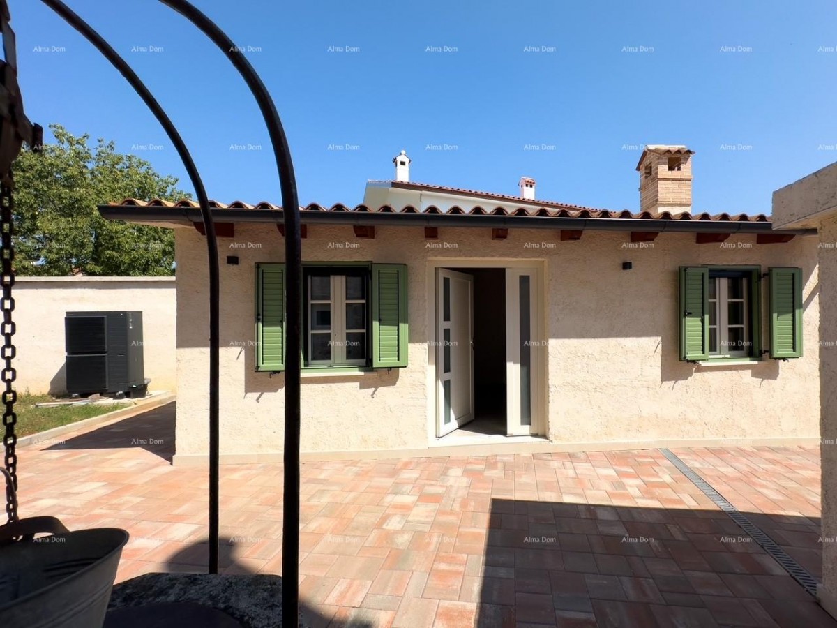 Редкость на рынке!   Istra  Barban 44