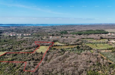 GALIŽANA - Prodaje se veliko poljoprivredno zemljište – 20.498 m², odlična lokacija