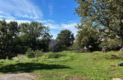 Buzet. Building land, 980 m2. Residential area of the town.