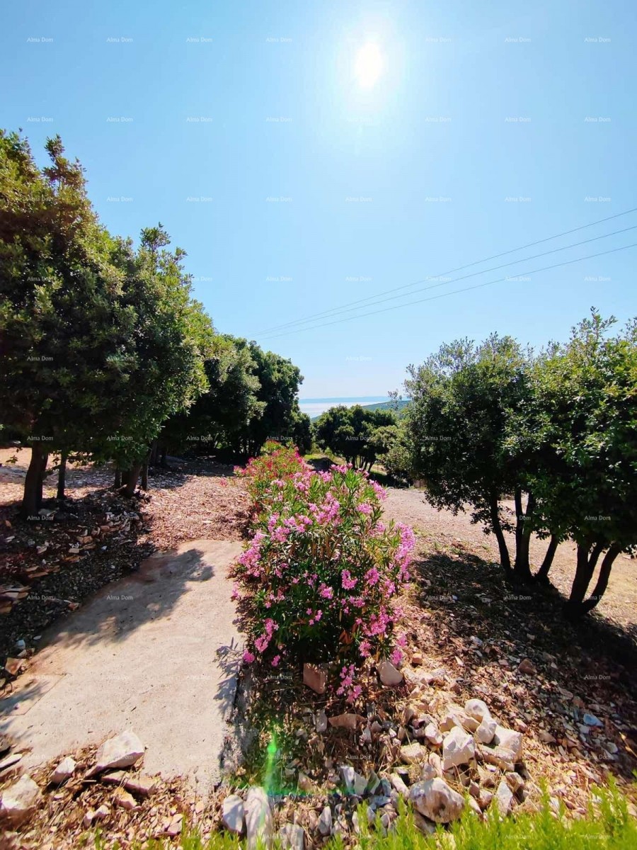 Kavran, Detached House with Sea View 8