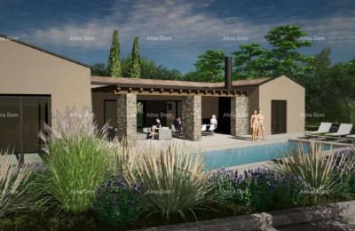 Prodaja - građevinsko zemljište s projektom za izgradnju vile prizemnice, Žminj V1