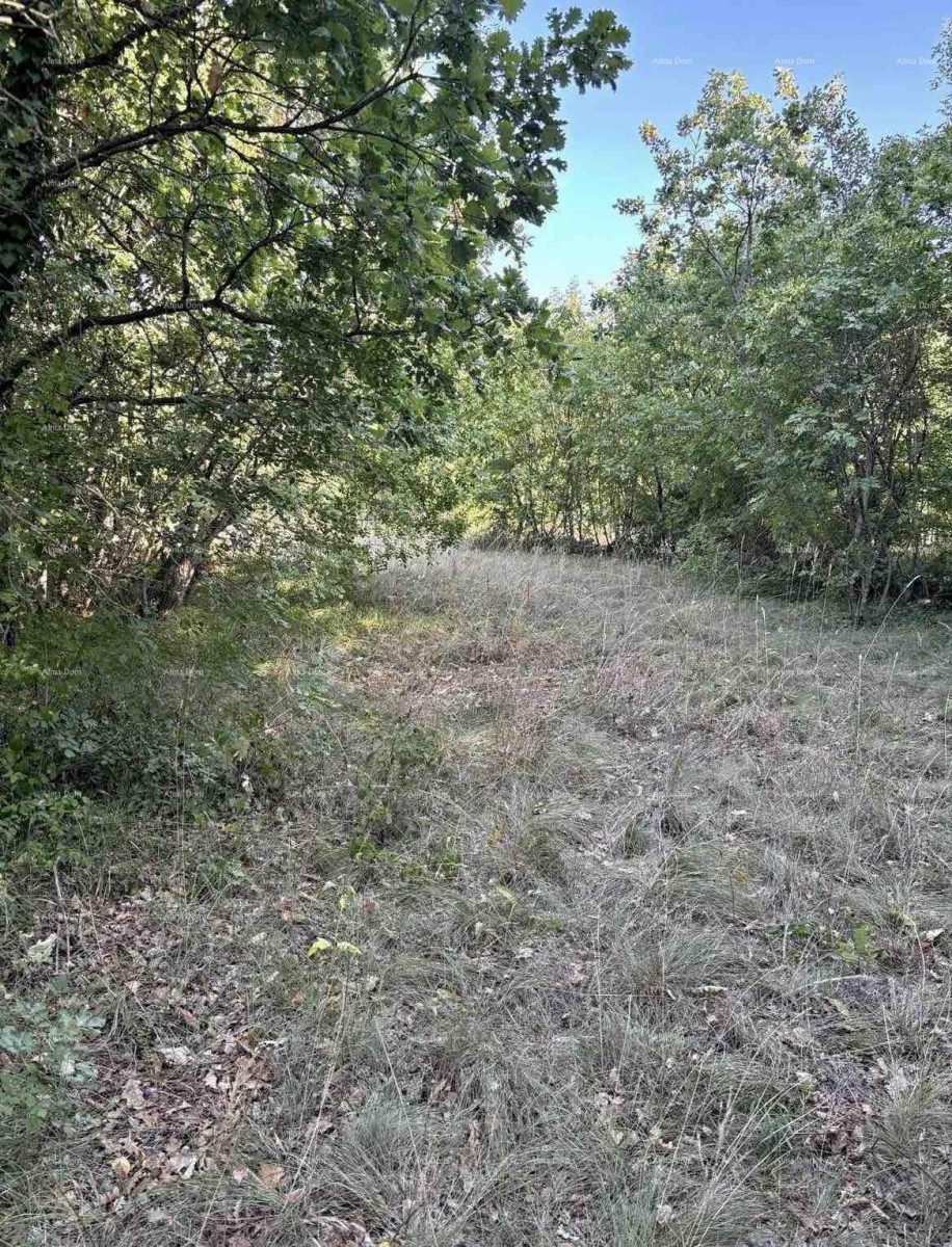 Marčana, terreno di uso misto 1