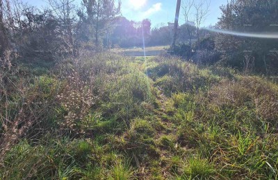 Građevinsko zemljište Vintijan – 800 m2 – uz cestu