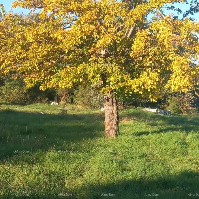 Отличная возможность - владение с каменным домом, большим земельным участком и хозяйственными постройками - близость к Ровиню! 11