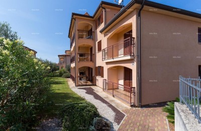 Novigrad, apartment in an attractive location, near the sea