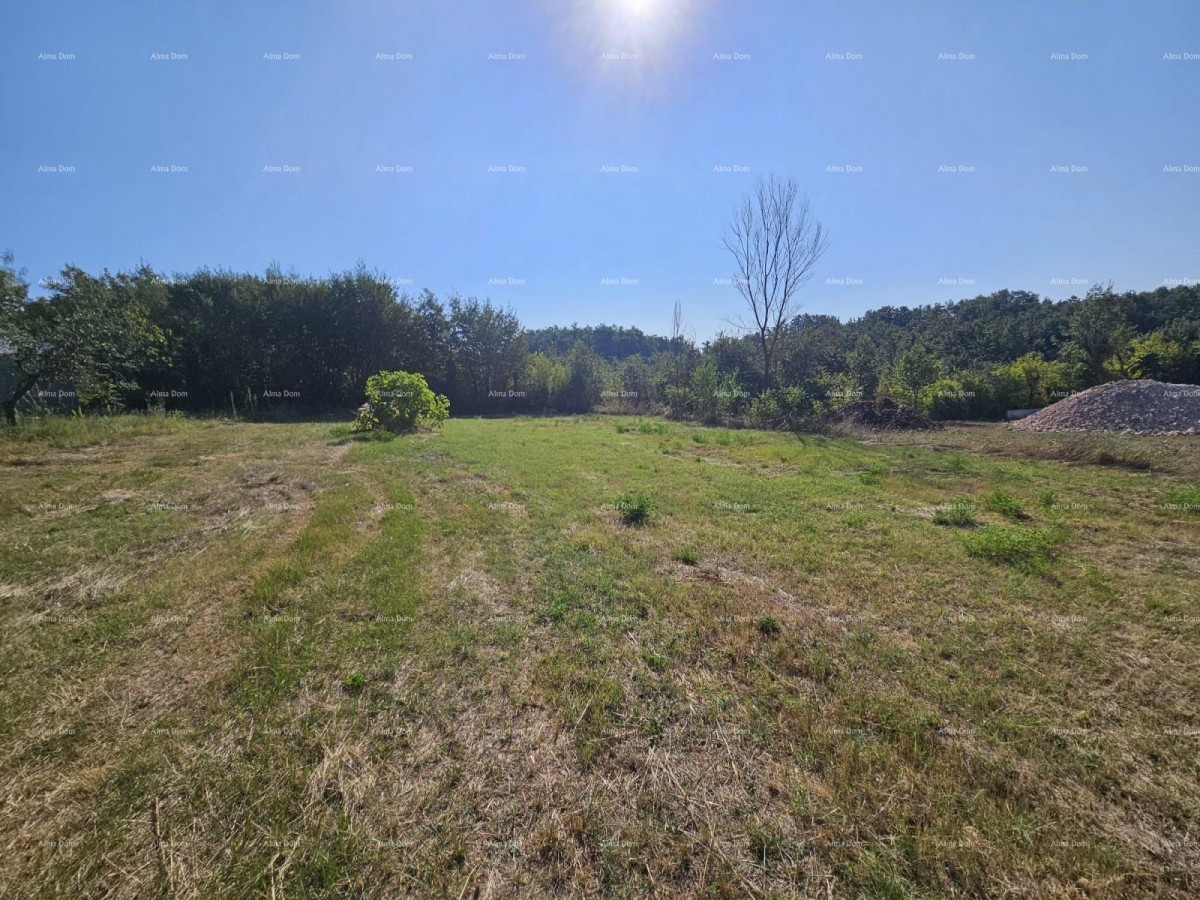 Prodaja građevinskog zemljišta, Žminj 1