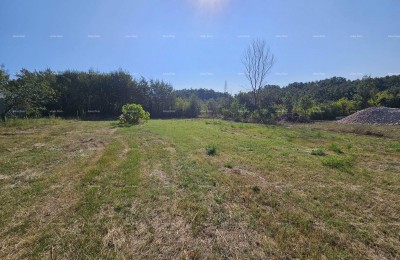 Prodaja građevinskog zemljišta, Žminj