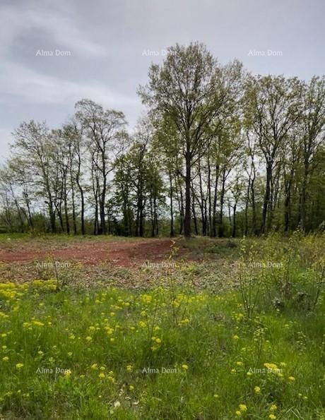 Продается строительный участок с проектом – Барбан (1.010 м²) 2