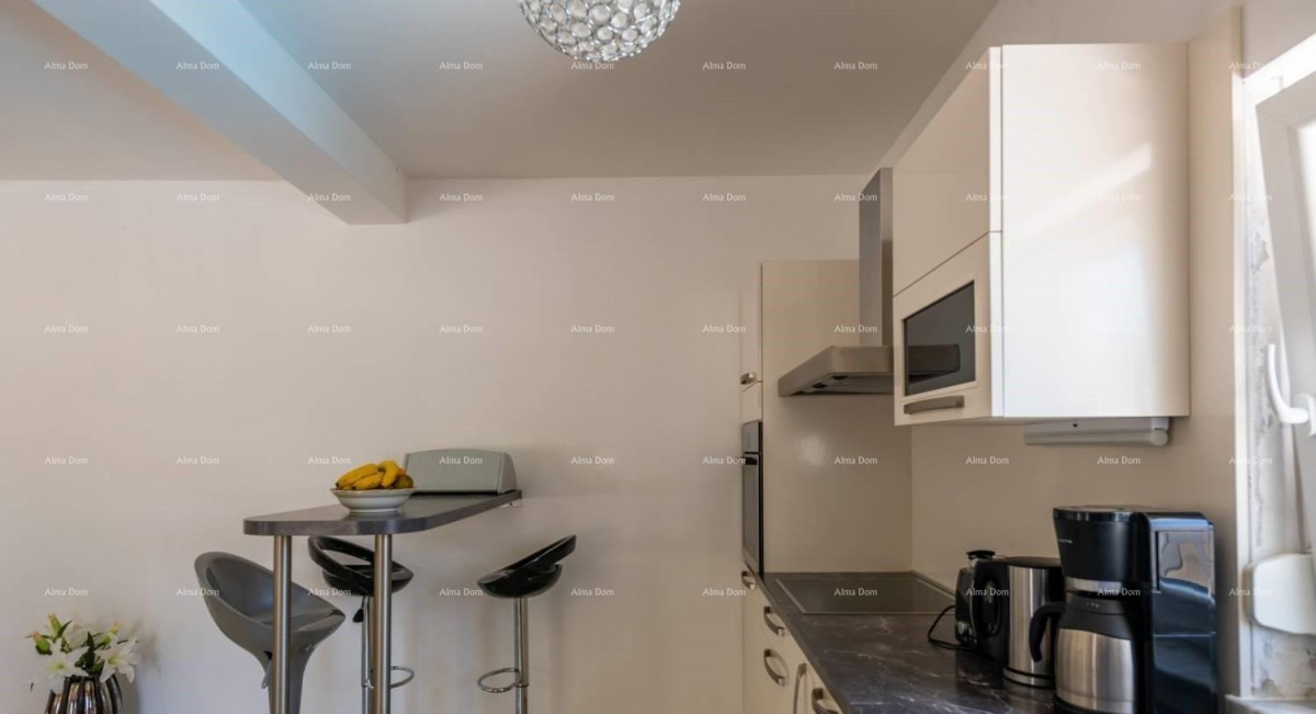 Двухквартирная вилла с бассейном – окрестности Пореча 9