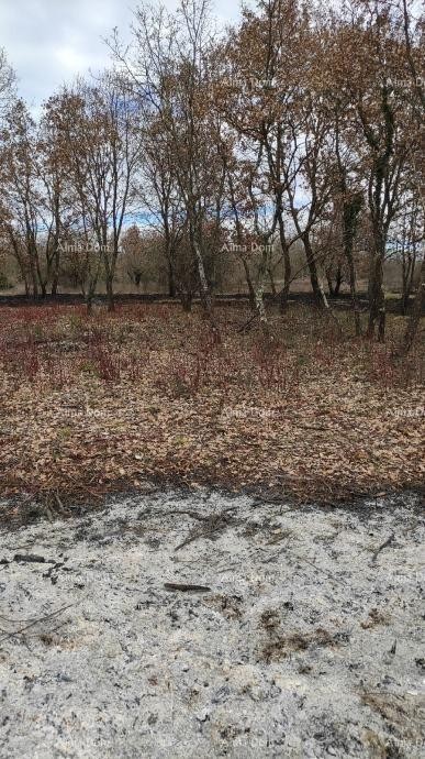 Terreno edificabile, 3