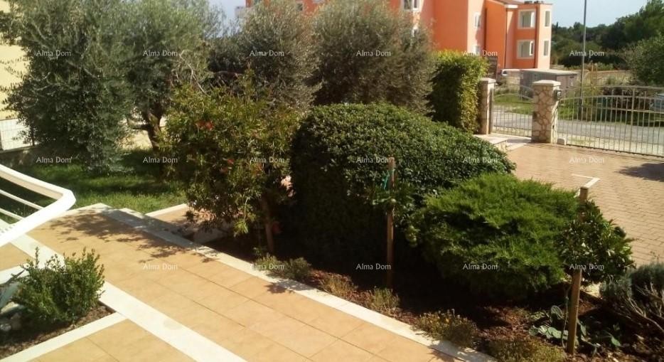 House with 5 apartments for sale with sea view, Premantura 19
