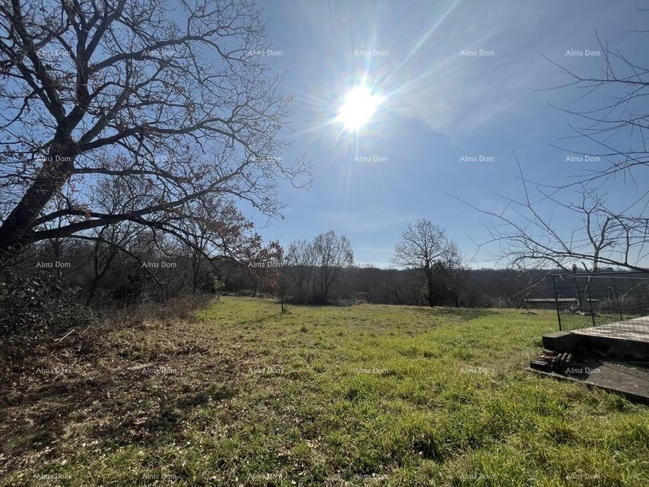 Stara kamnita hiša v Istri, Buje 14