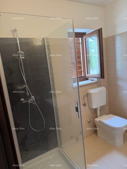 Stunning two-story apartment with a pool and terrace in Buje 5