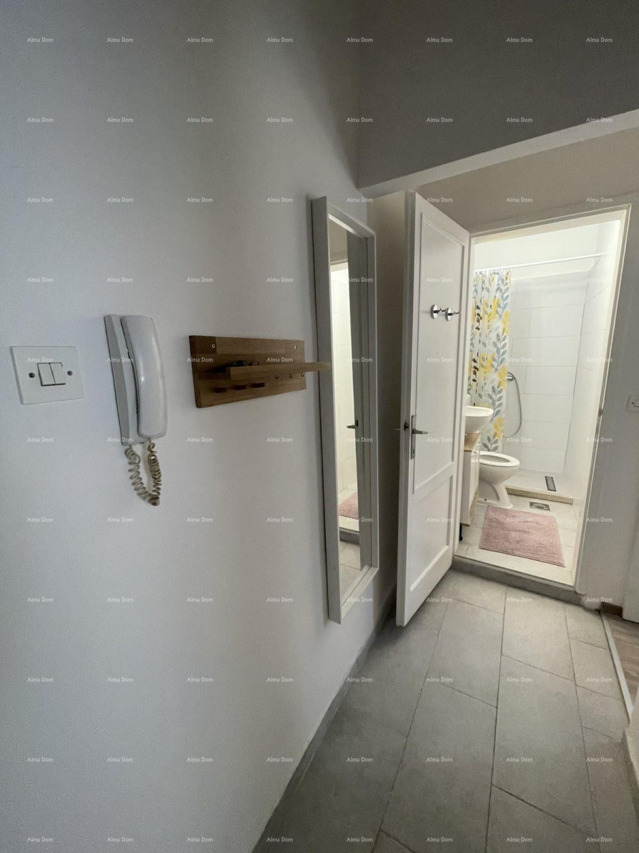 Furnished apartment 45 m2 on the ground floor in the center of Pula 12