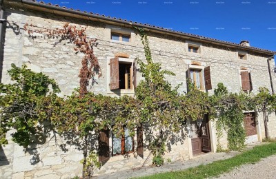 Prodaja - avtentična kamnita hiša z 2 pomožnima objektoma in prostornim dvoriščem, Brtonigla!