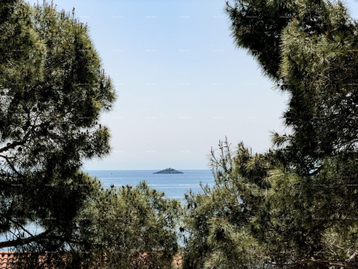 Posizione tranquilla a 50m dal mare! 1