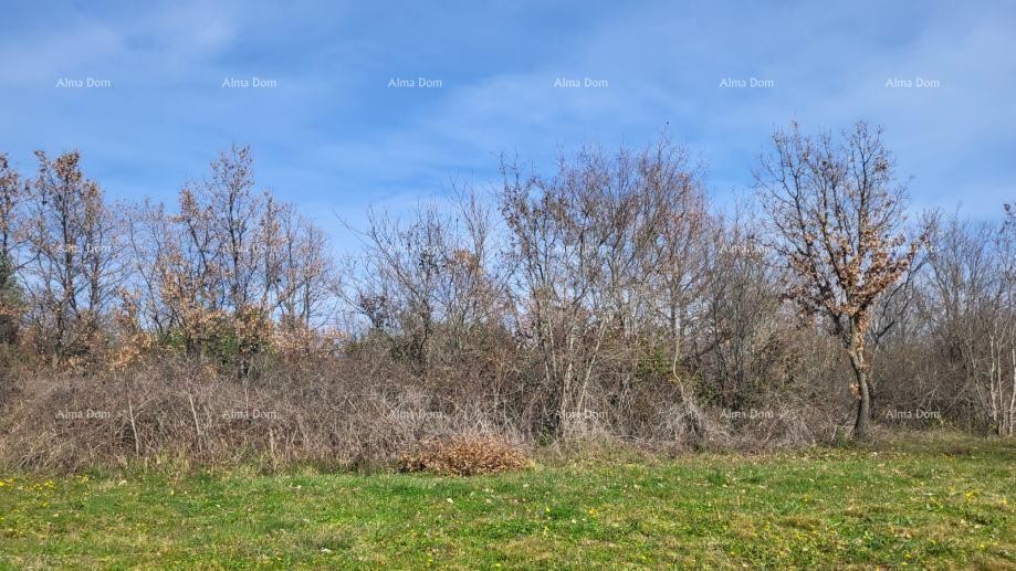 Attractive building plot near Poreč 5