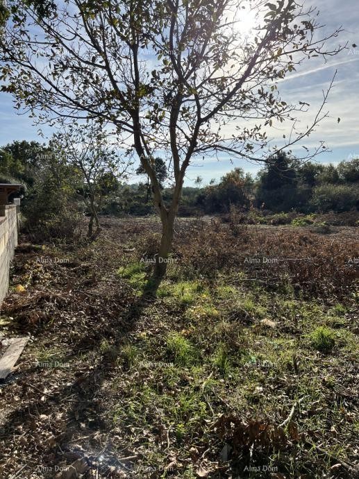 Эемля Ližnjan 1