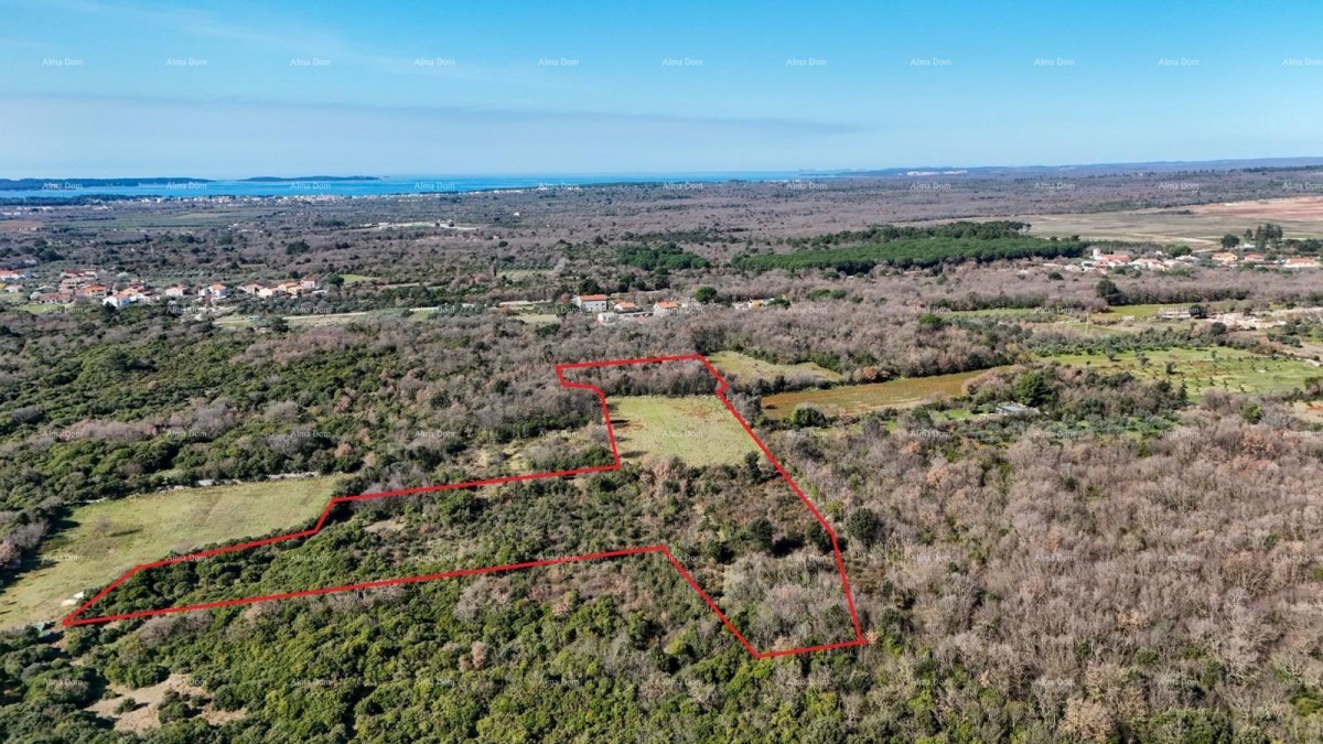 GALIŽANA - Prodaje se veliko poljoprivredno zemljište – 20.498 m², odlična lokacija 8