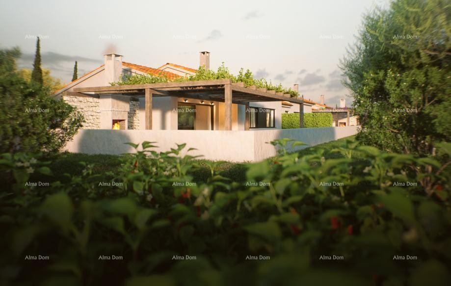 Люксовые дома в Каштелире (Истрия) 7