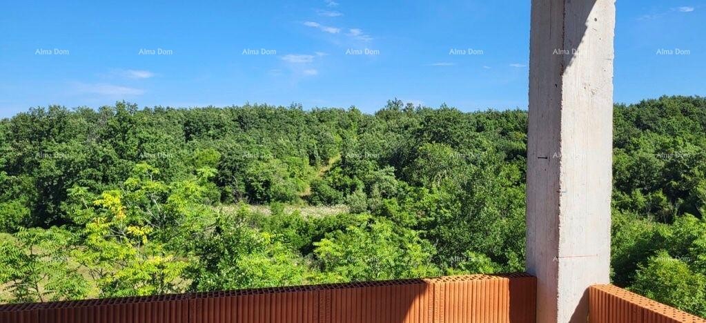 Hiša Svetvinčenat 3