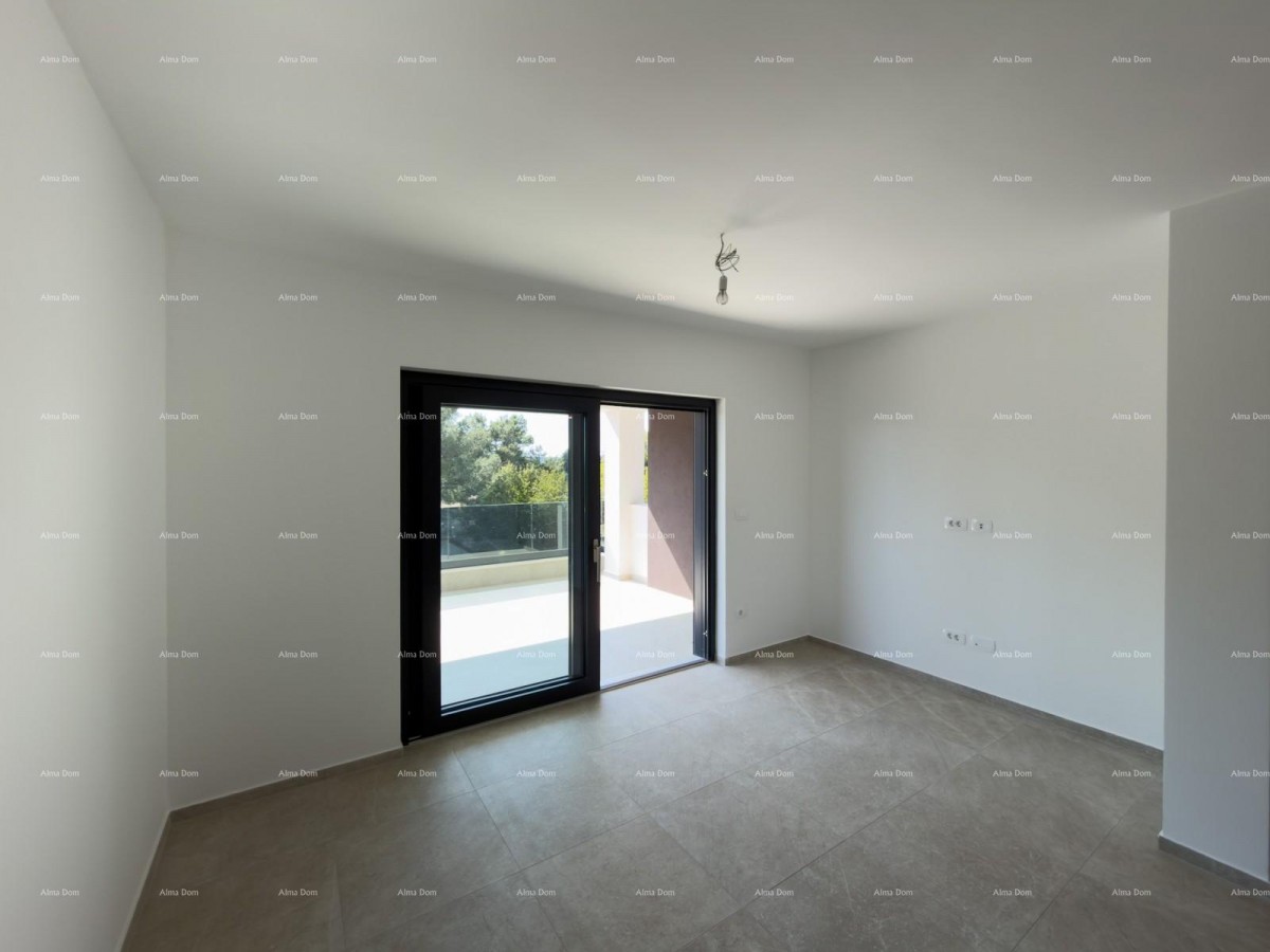 The translation of the title 9