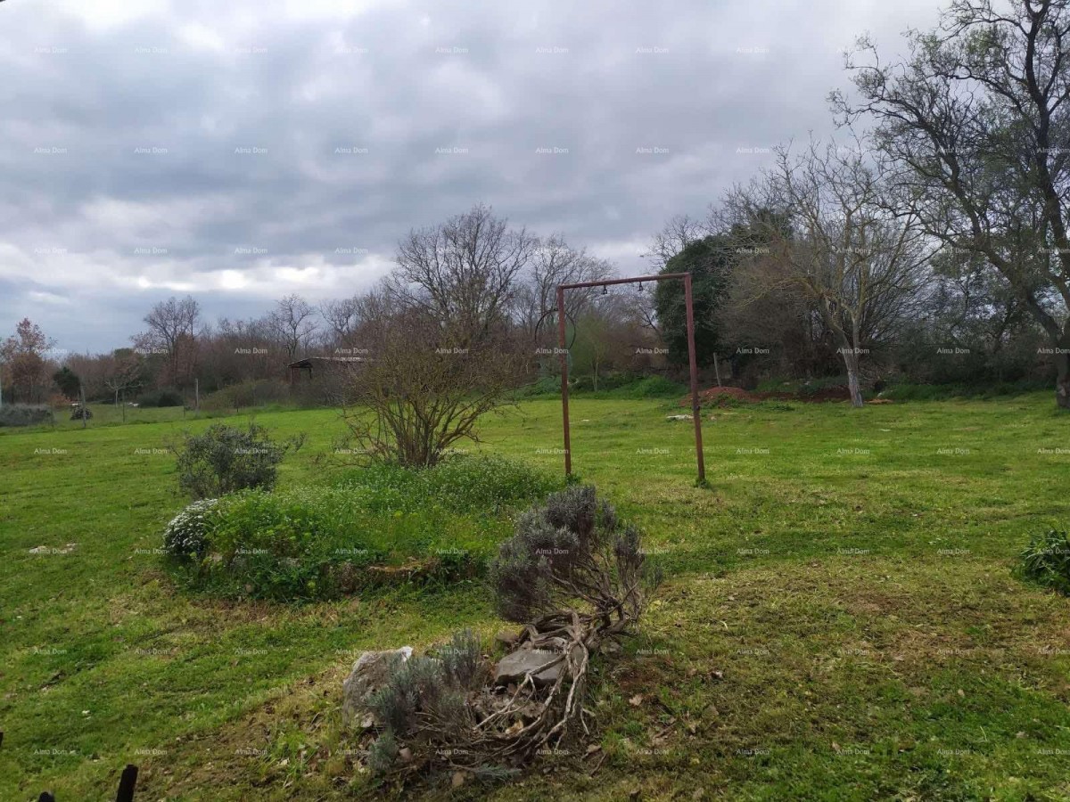 CASA PIANO TERRA CON EDIFICIO RUSTICO E AMPIO TERRENO – LOBORIKA 17