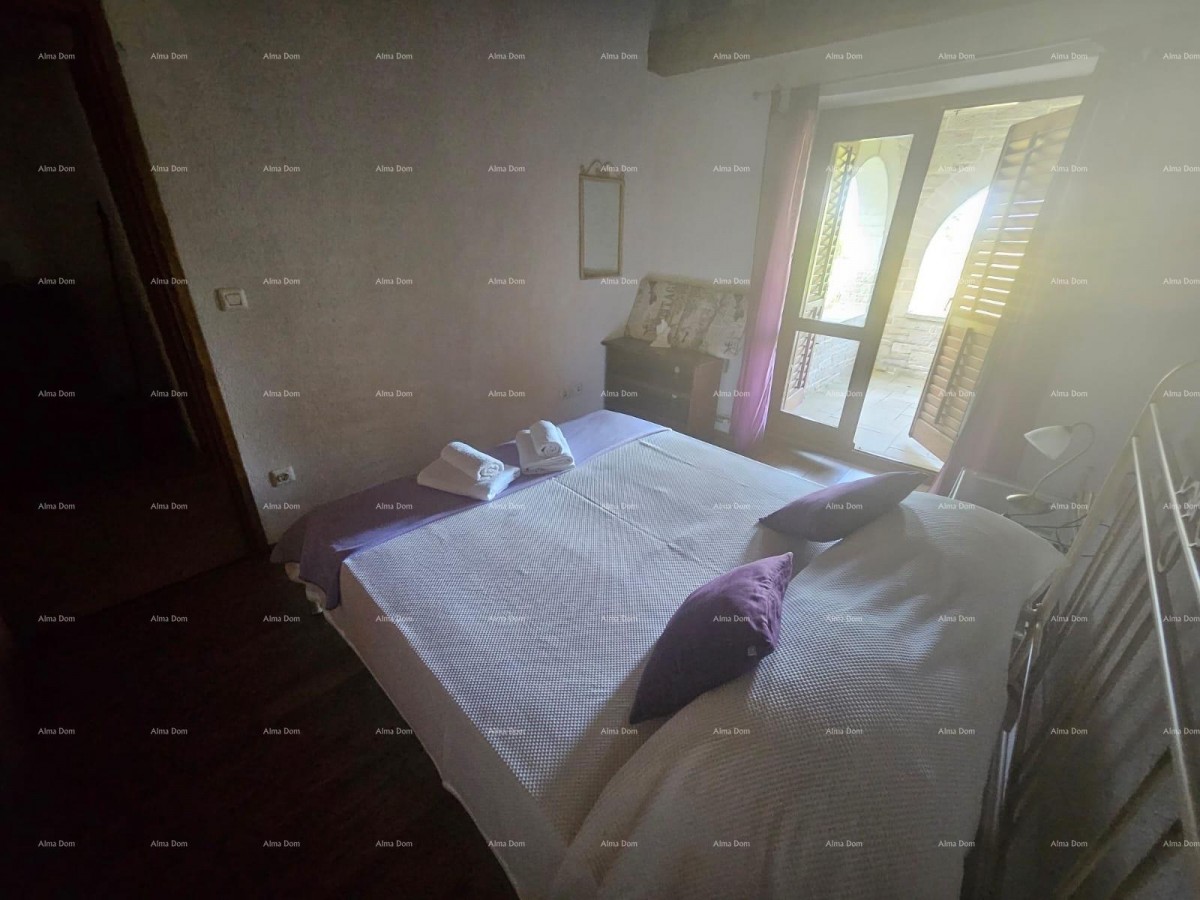 COMPLEX OF STONE HOUSES WITH 5 RESIDENTIAL UNITS – TINJAN 29