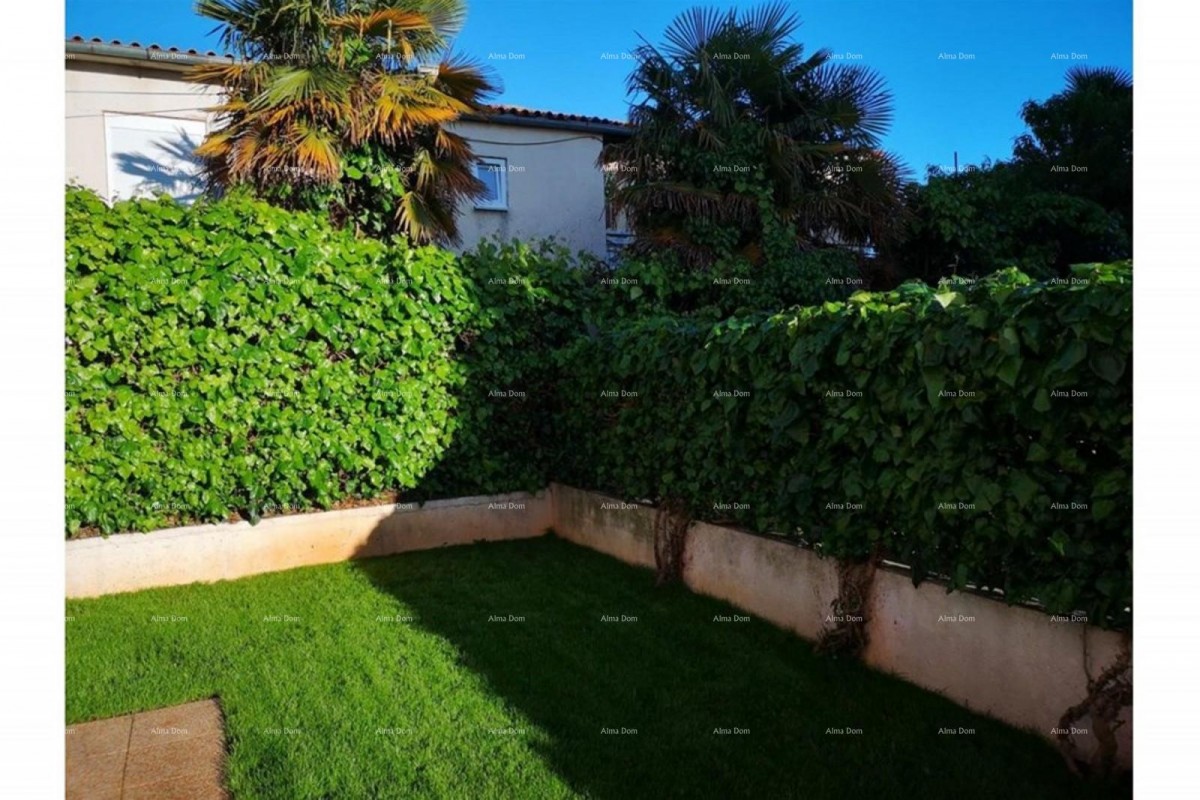 Prostrano stan s dvorištem, Tar 16