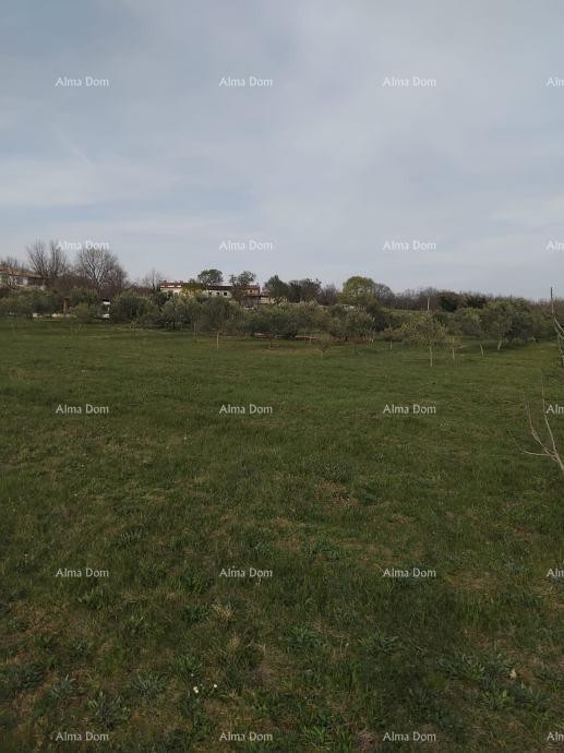 Atraktivno zemljište, 5.716 m²,okolica Poreča 4