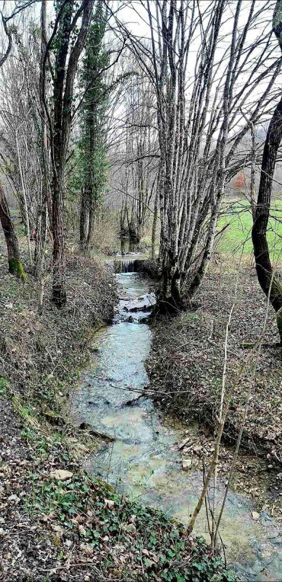 For Sale - Large Estate/Farm in Central Istria, Pazin! Investment Opportunity! 7