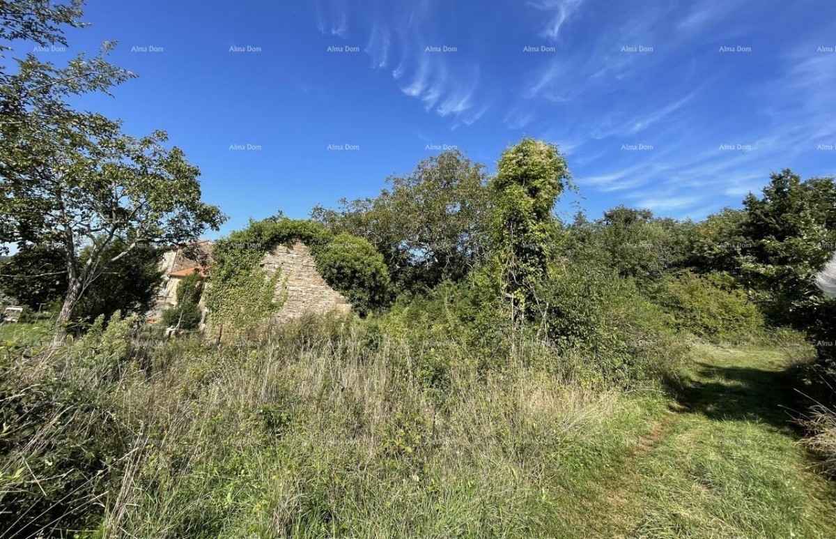 Prodaja - kamena istrska kuća za renovaciju s velikim zemljištem, Oprtalj! 4