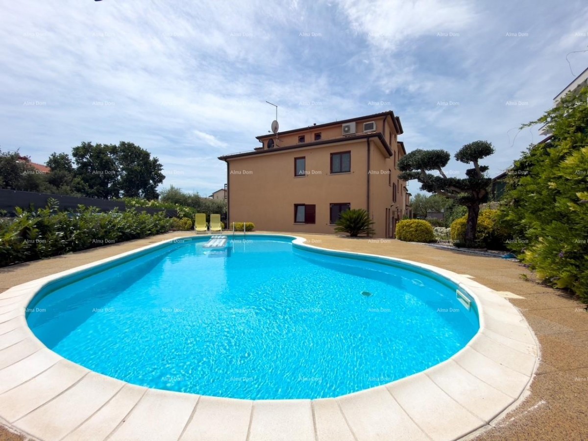 Novigrad, apartment in an attractive location with a pool. 1
