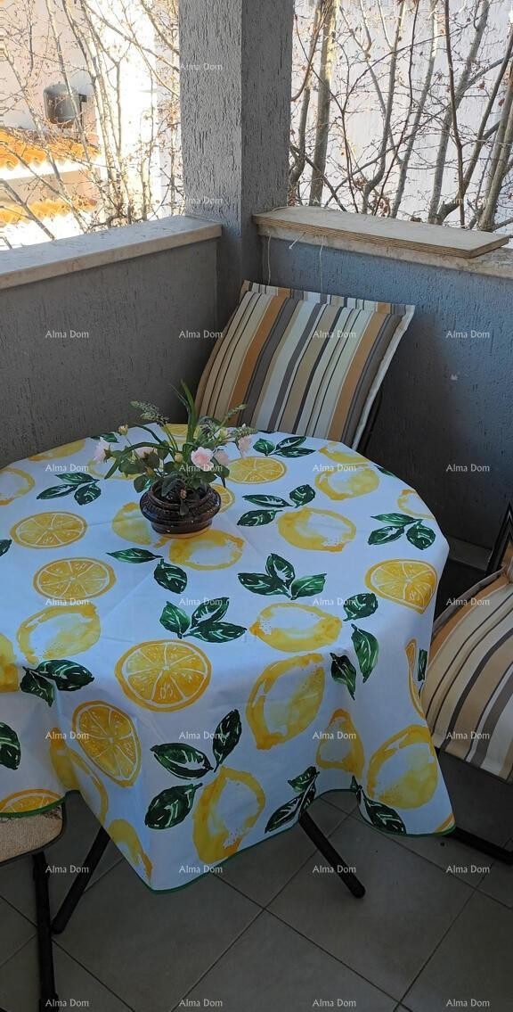 Charming Apartment in Barbariga, Ready to Move In, 900 m from the Sea 10