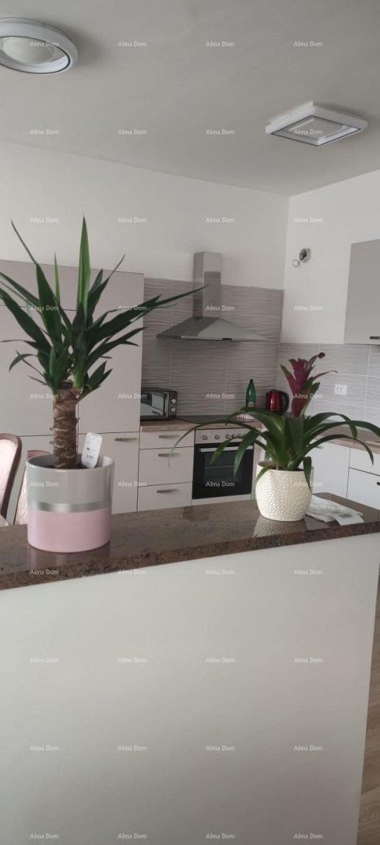 Квартира в Пуле! С двумя спальнями! Греговица. Рядом с новой больницей. 3