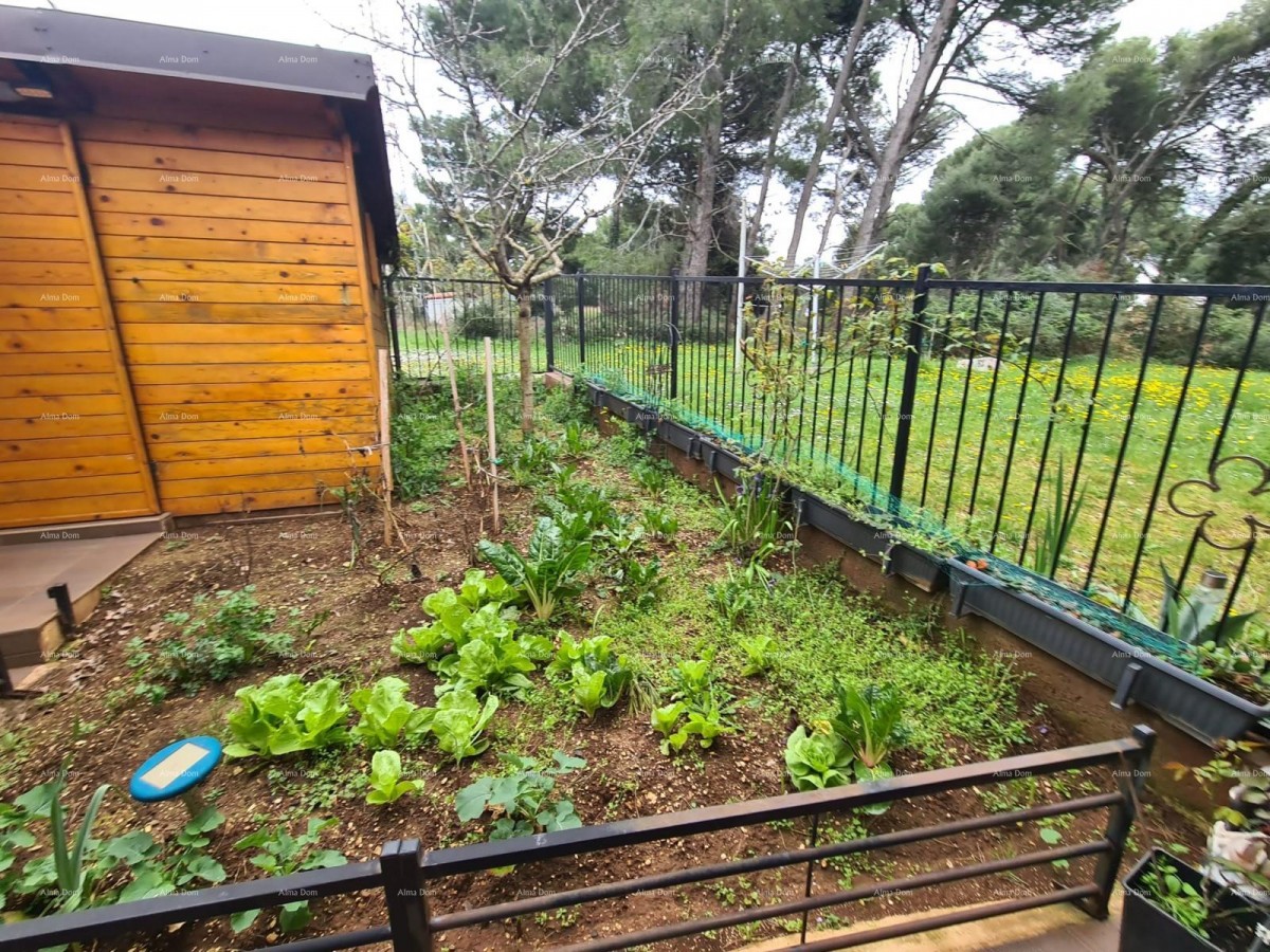 KUĆA SA TRI  APARTMANA,  MEDULIN 33