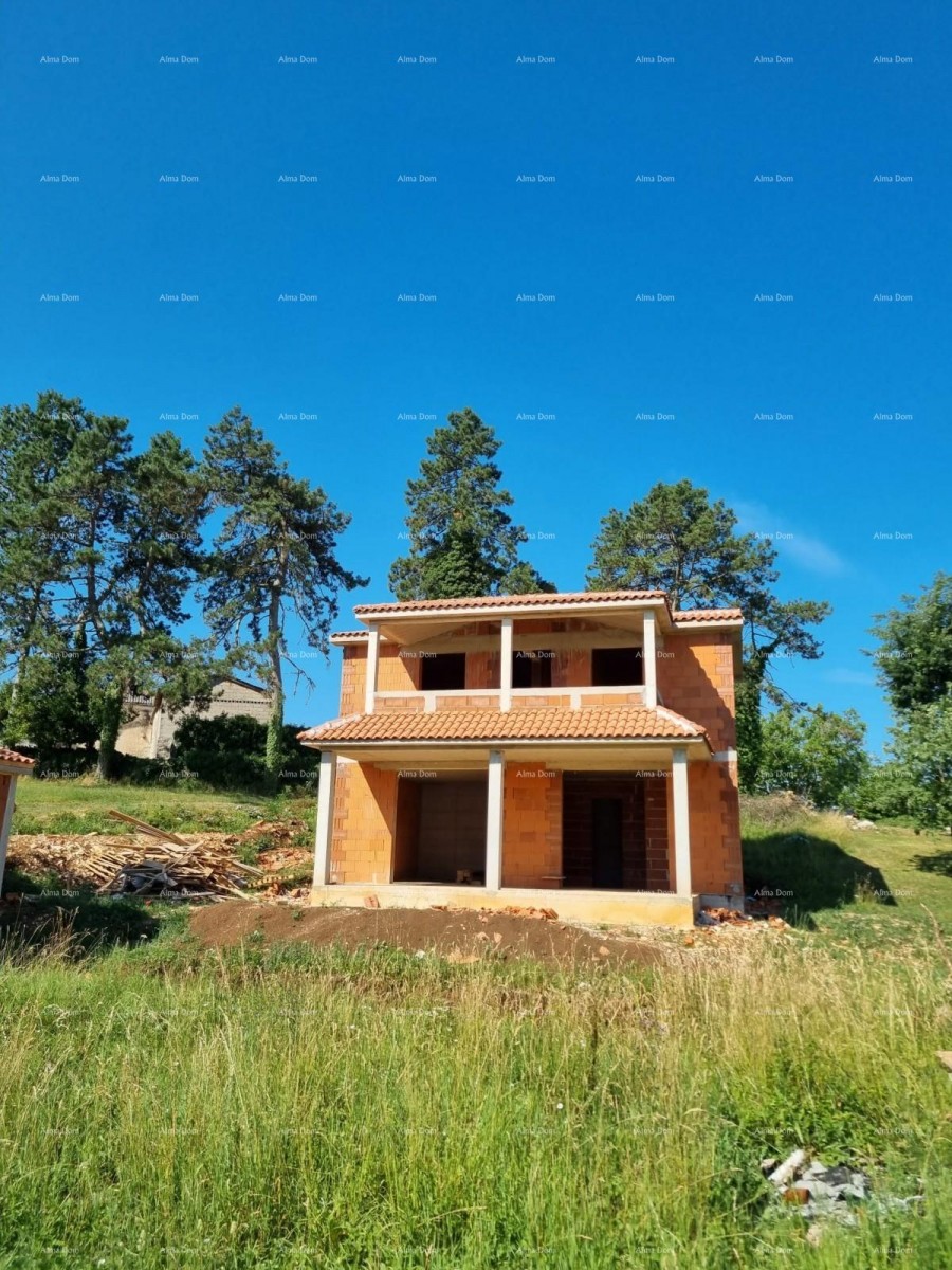 House Pazin 10