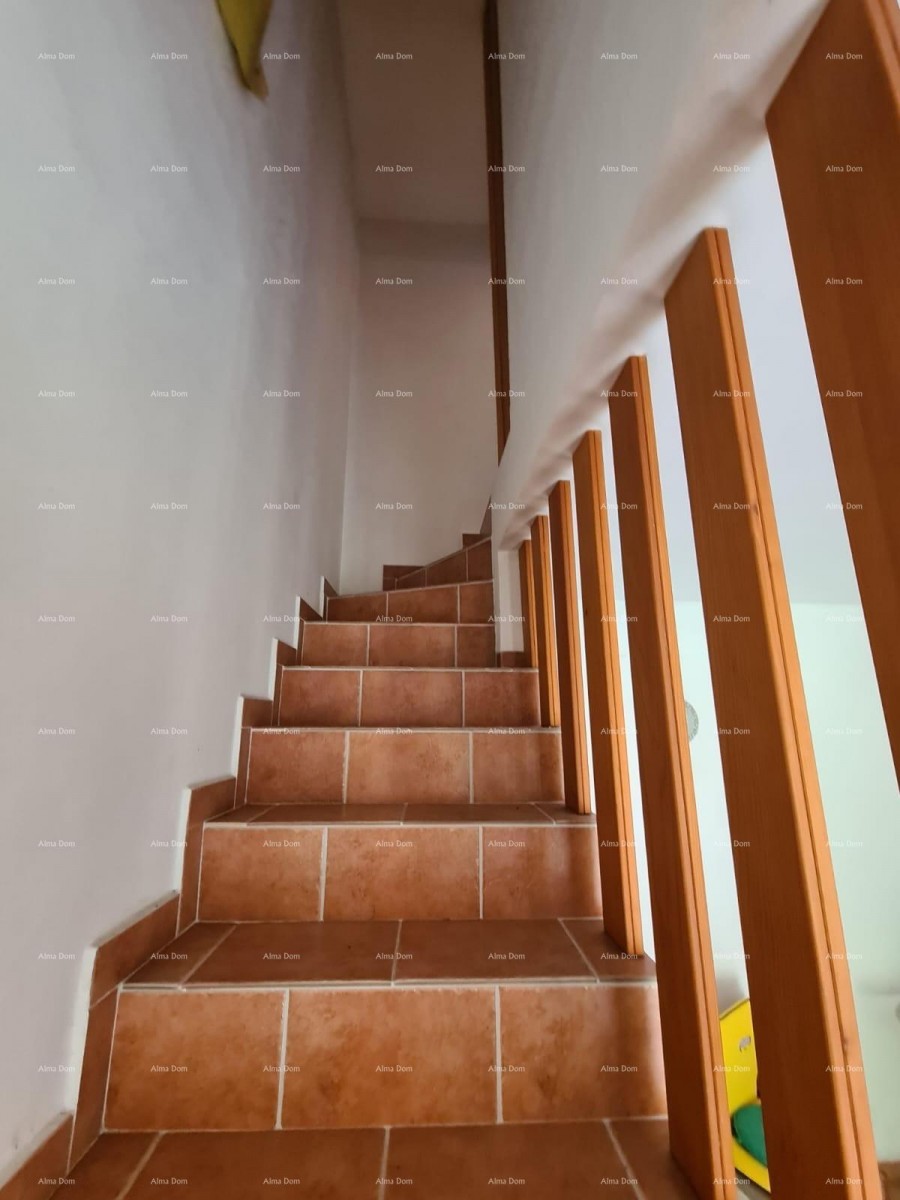 A house with a yard and a large plot of land for sale, Barban 13