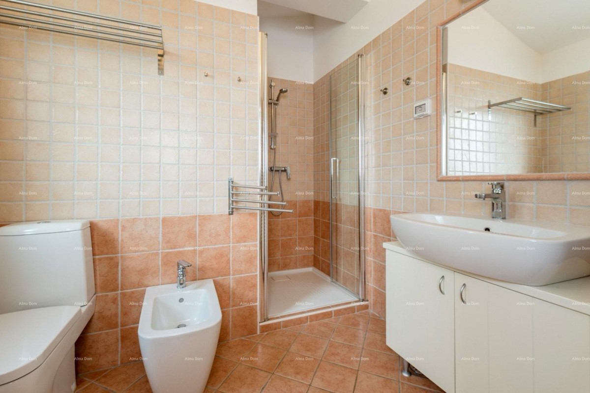 VILA S DVA APARTMANA I BAZENOM,  OKOLICA LABINA 12