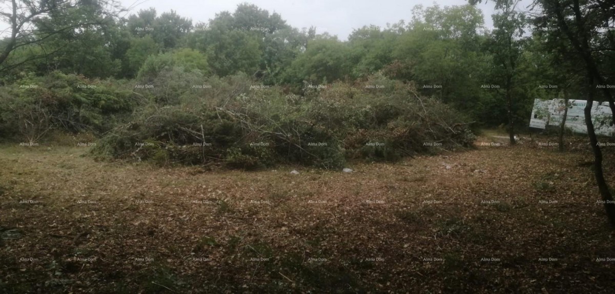 Građevinsko i poljoprivredno zemljište u blizini Svetvinčenata: 11100 m² za vašu investiciju 5