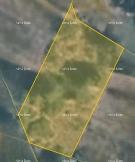 Building Land – Vrh, Kaštel, Buje 1