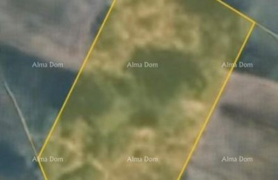 Building Land – Vrh, Kaštel, Buje